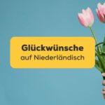 Lerne mit der Ling-App die wichtigsten Glückwünsche auf Niederländisch