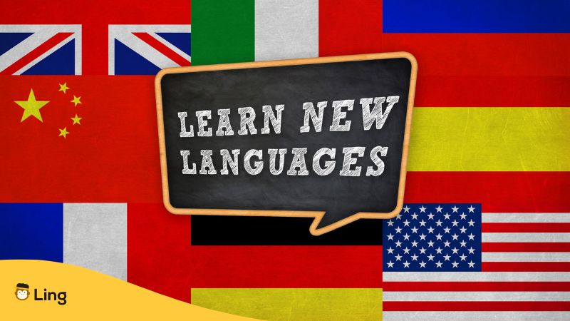 learn new languages in a speech bubble with different flags in the background