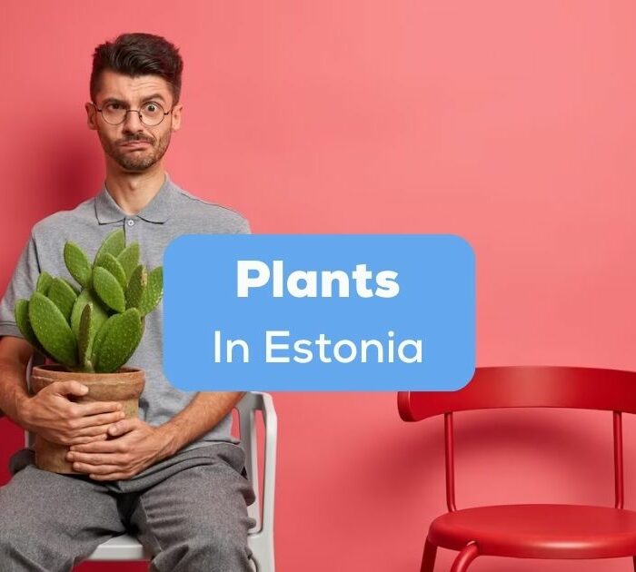 A photo of a sitting man holding a plan beside the Plants In Estonia texts.