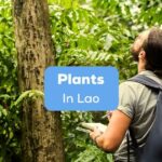 A photo of a man with a notebook exploring the woods beside the Plants In Lao texts.