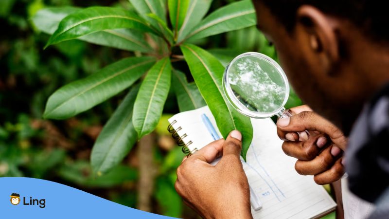 A photo of a man using magnifying glass researching about plants in Lao.