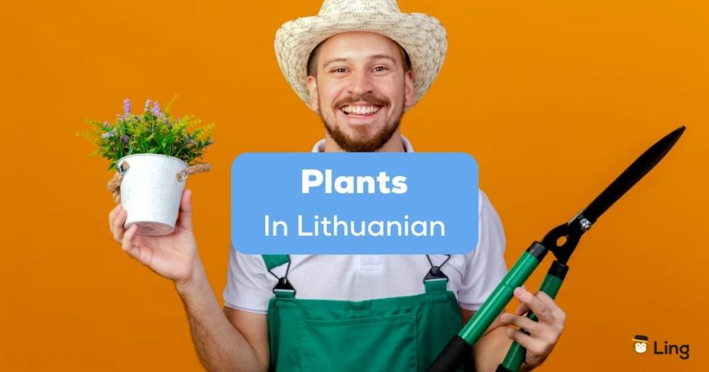 A photo of a smiling man holding a plant and a grass cutter behind the Plants In Lithuanian texts.