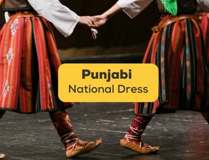 punjabi national dress