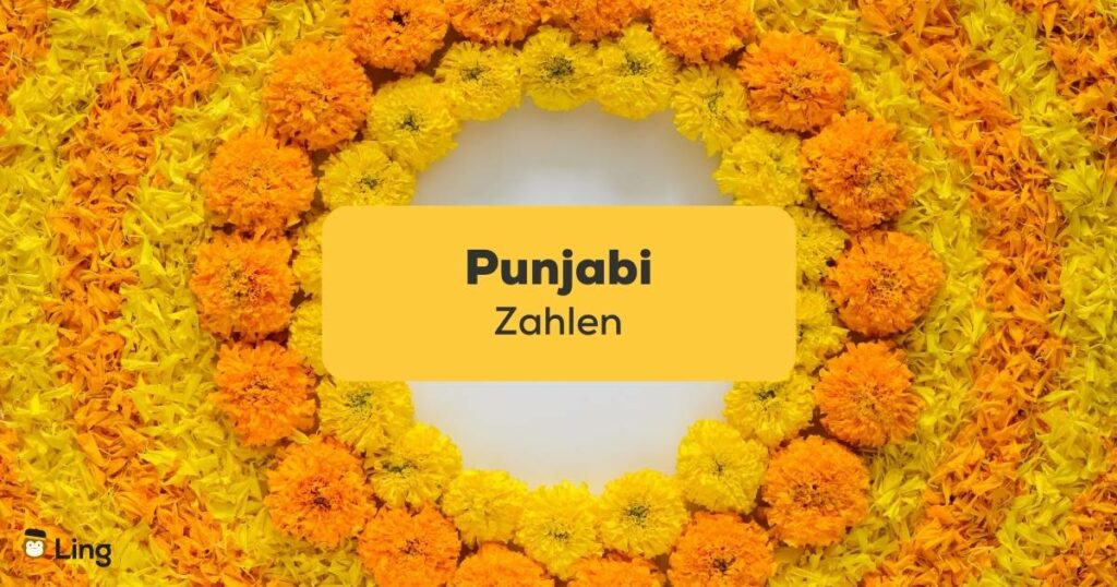 Punjabi Zahlen mit der Ling-App erlernen