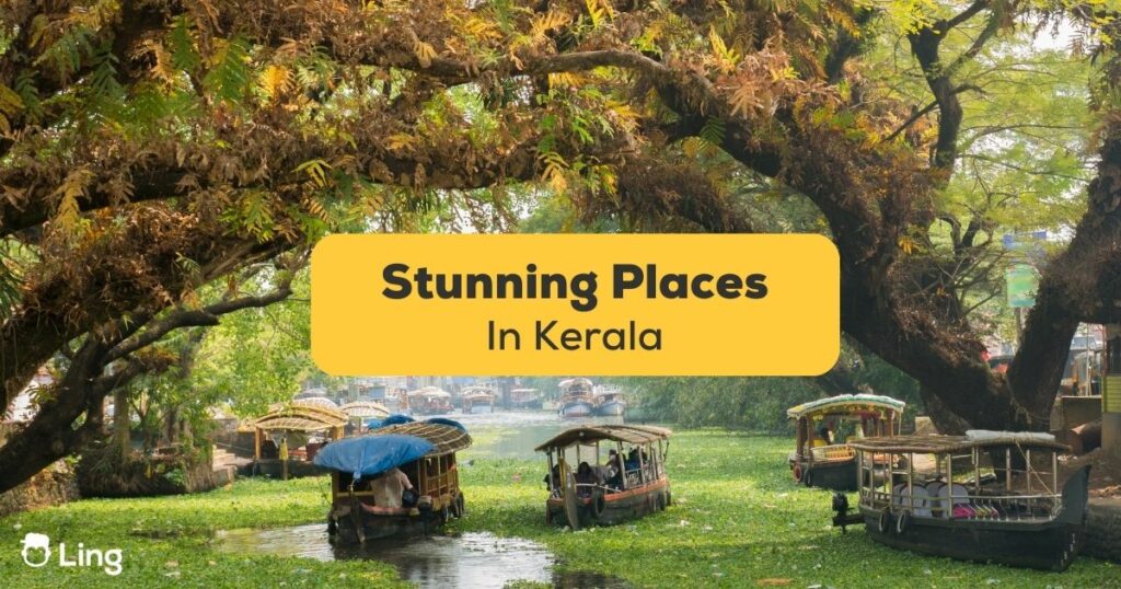 stunning places in Kerala