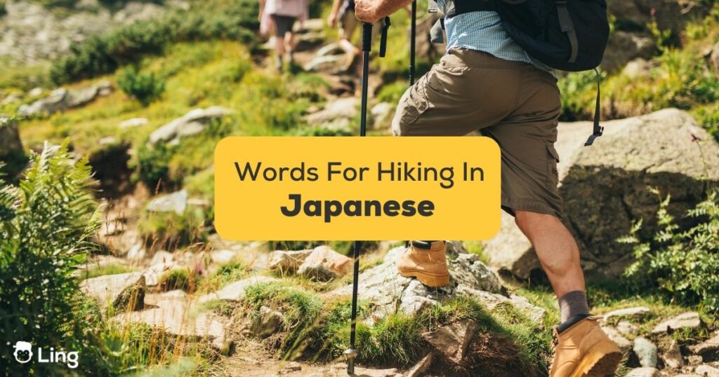 10+ Easy Japanese Words For Hiking