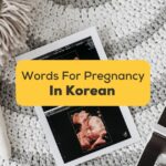8+ Easy Korean Words For Pregnancy