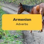 Armenian Adverbs_ling app_learn Armenian_Horse