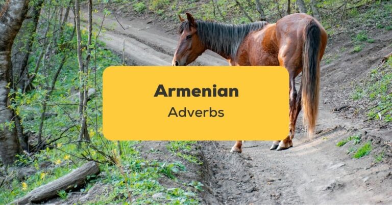 Armenian Adverbs_Ling App_Learn Armenian_Horse