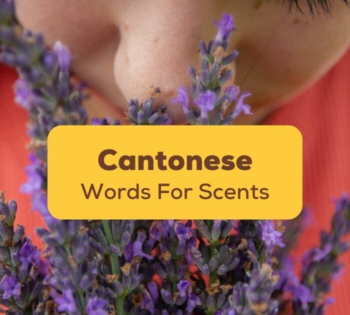 Cantonese-Words-For-Scents-Ling-App