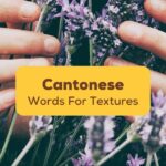 Cantonese words for textures