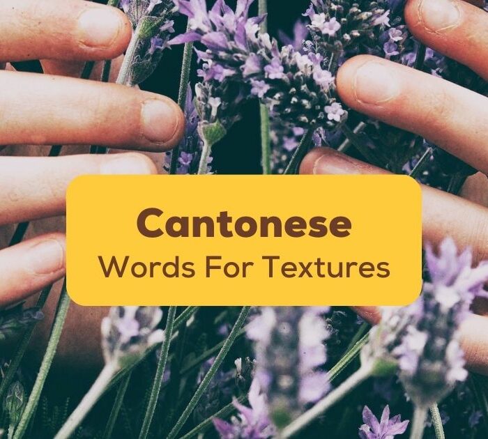 Cantonese words for textures