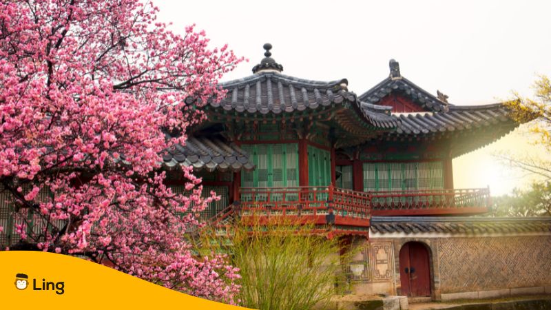 Changdeokgung Palace_Tourist Attractions In South Korea Ling App