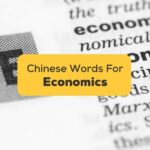 Chinese-Words-For-Economics-ling-app-dictionary-entry-of-the-word-economics