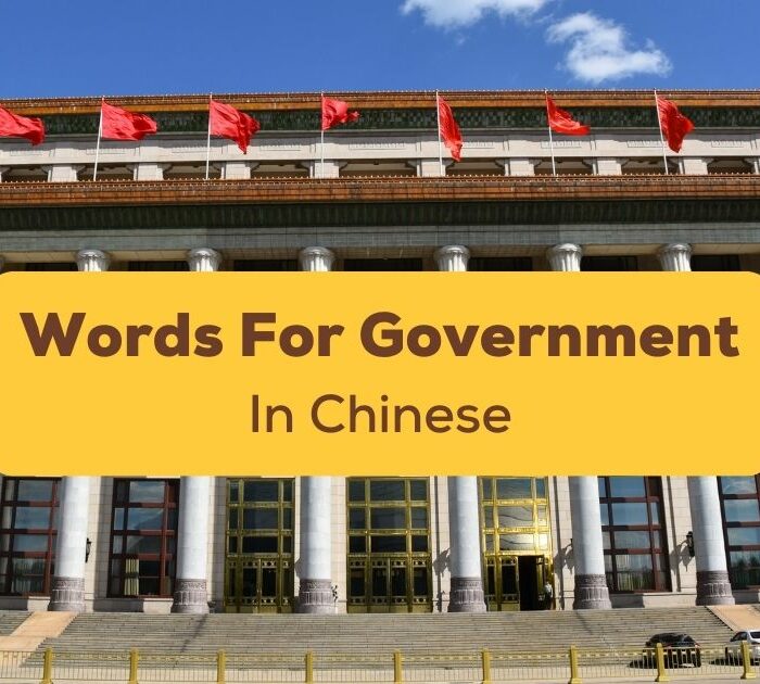 Chinese words for government Ling App