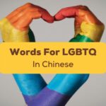 Chinese words for lgbtq Ling App