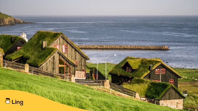 Häuser in der dänischen Landschaft am Meer mit grasbewachsenem Dach