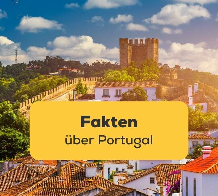 Erfahre wissenswerte Fakten über Portugal und Portugiesisch mit der Ling-App
