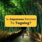 Is Japanese Related To Tagalog