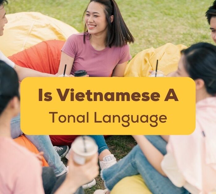 Is Vietnamese A Tonal Language Ling App