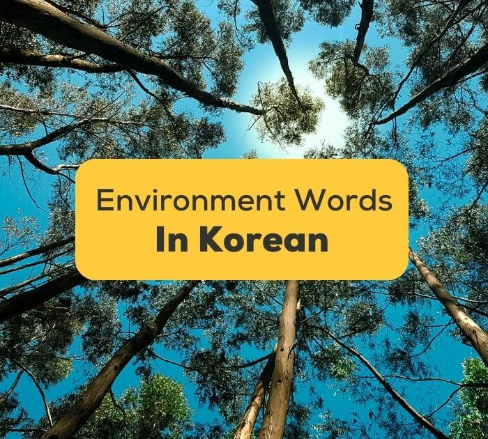 Korean Words For Environment
