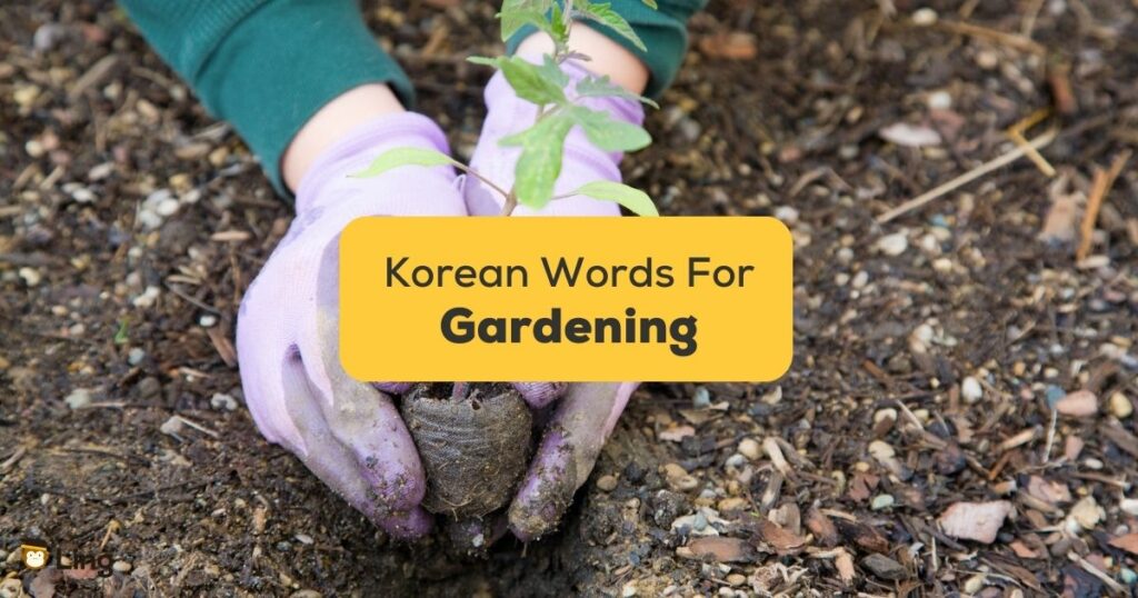 Korean words for gardening