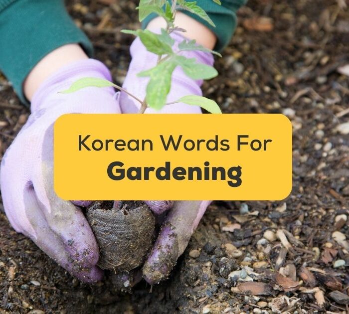 Korean words for gardening