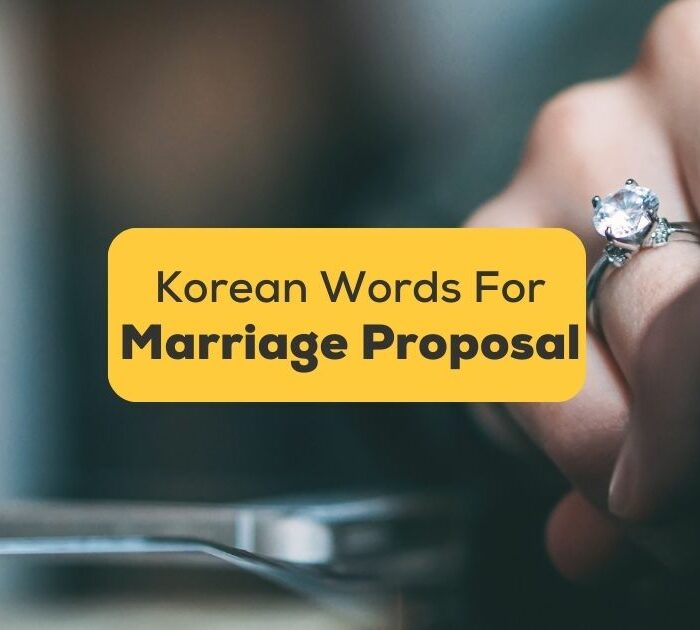 Korean-Words-For-Marriage-Proposal-ling-app-image-of-a-man-proposing-to-girlfriend