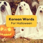 korean words for halloween banner with three dogs in white lady costume in the background