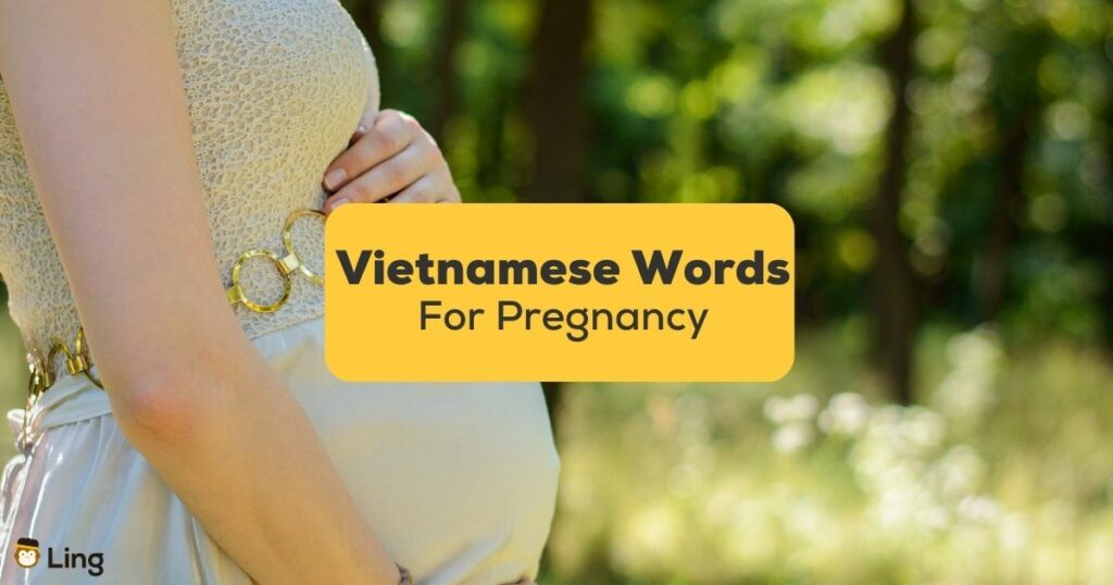 Vietnamese words for pregnancy