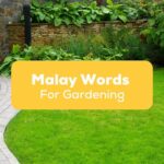 Malay Words for Gardening- Featured Ling App