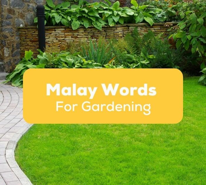 Malay Words for Gardening- Featured Ling App