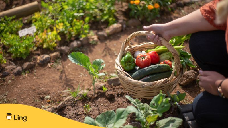 Malayalam-Words-For-Gardening-ling-app-Person-Holding-a-Basket-at-a-Garden