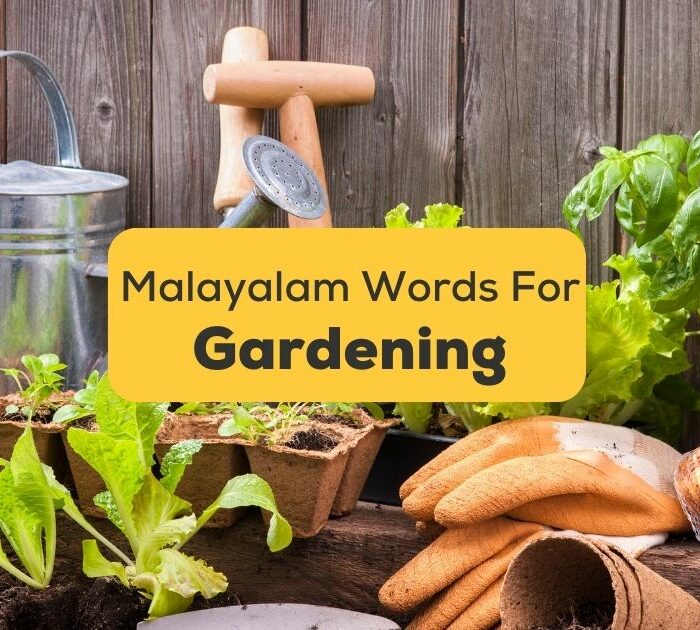 Malayalam-Words-For-Gardening-ling-app-image-of-a-garden-and-gardening-tools