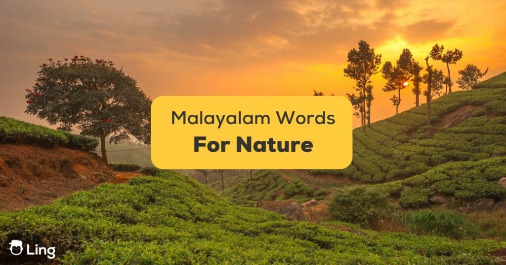 Malayalam Words For Nature