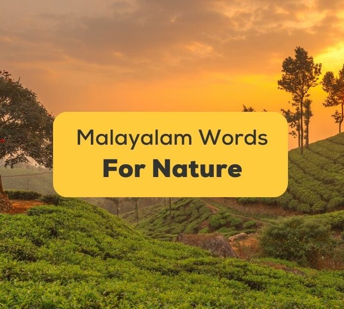 Malayalam Words For Nature