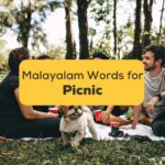 Malayalam-Words-For-Picnic-ling-app-image-of-people-picnicking-together