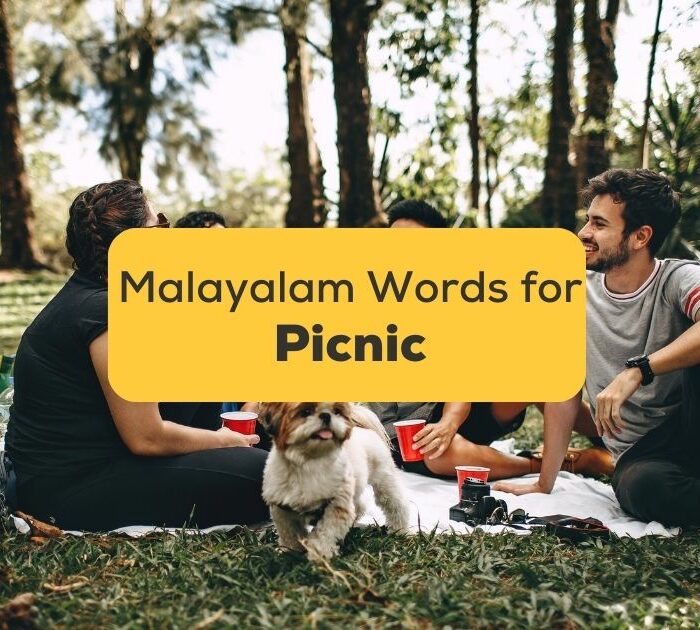 Malayalam-Words-For-Picnic-ling-app-image-of-people-picnicking-together