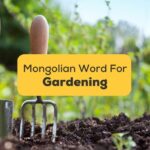 Mongolian-Words-For-Gardening-ling-app-Gardening-Hand-Trowel-and-Fork-Standing-in-Garden-Soil