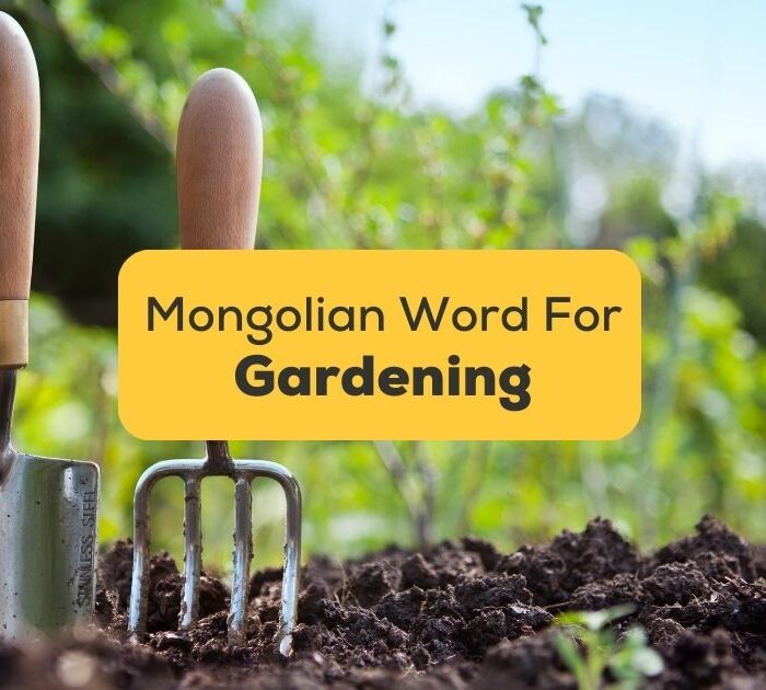 Mongolian-Words-For-Gardening-ling-app-Gardening-Hand-Trowel-and-Fork-Standing-in-Garden-Soil