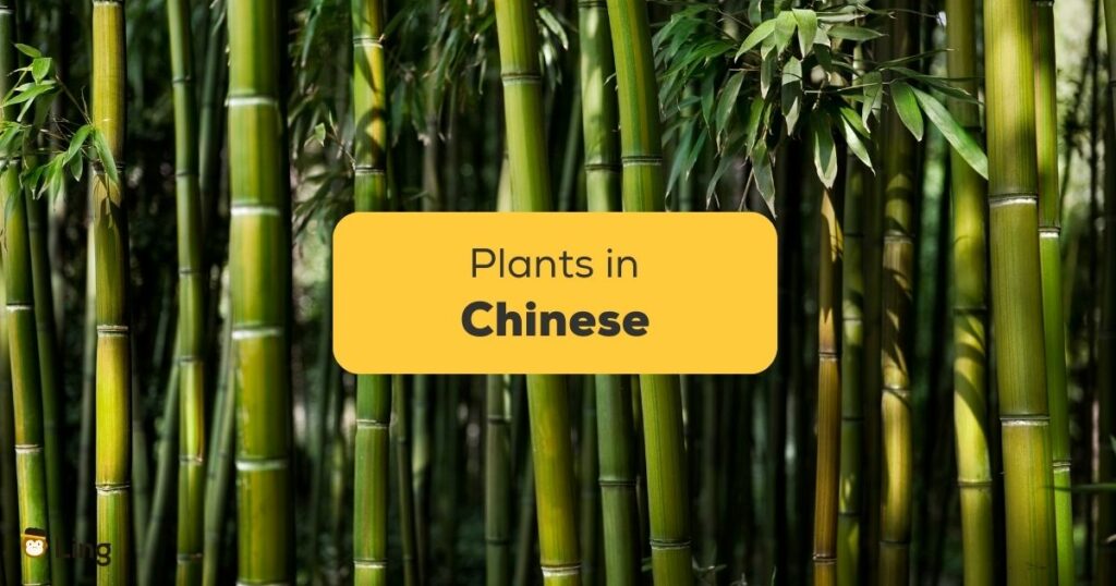 Plants in Chinese