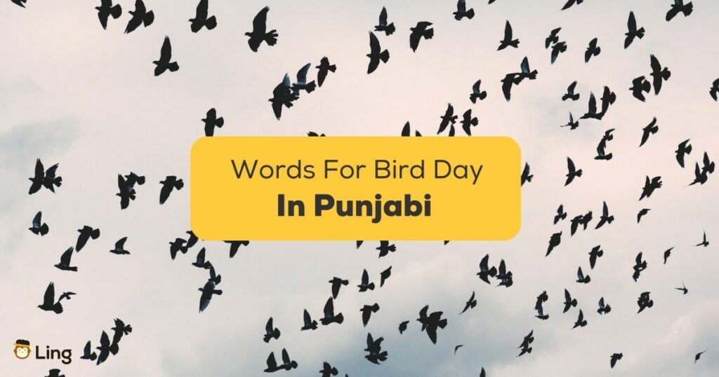 Punjabi Words For Bird Day