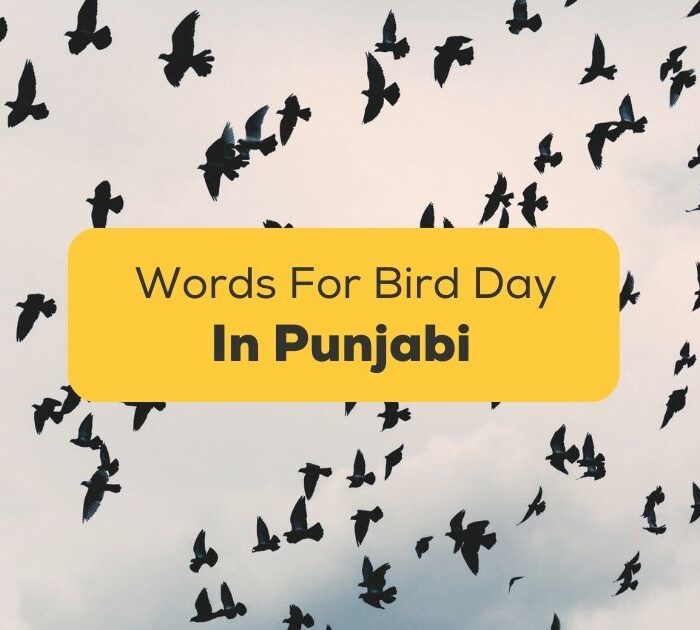 Punjabi Words For Bird Day