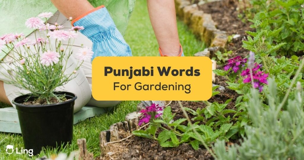 punjabi words for gardening banner with a pair of hands gardening in the background