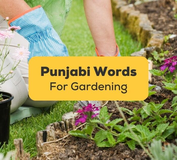 punjabi words for gardening banner with a pair of hands gardening in the background