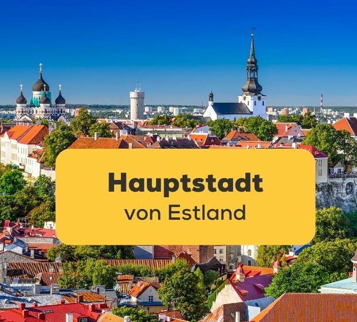 Lerne Tallinn, eine der schönsten Städte Europas, mit der Ling-App kennen