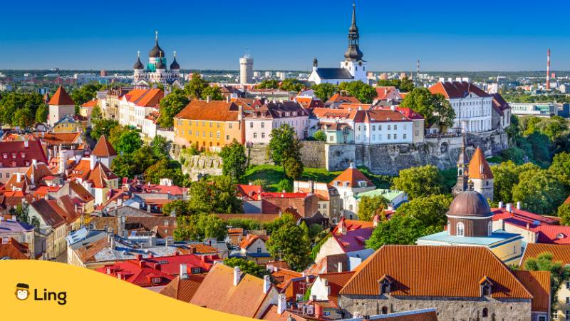 Erfahre mit der Ling-App alle wichtigen Fakten über Estland