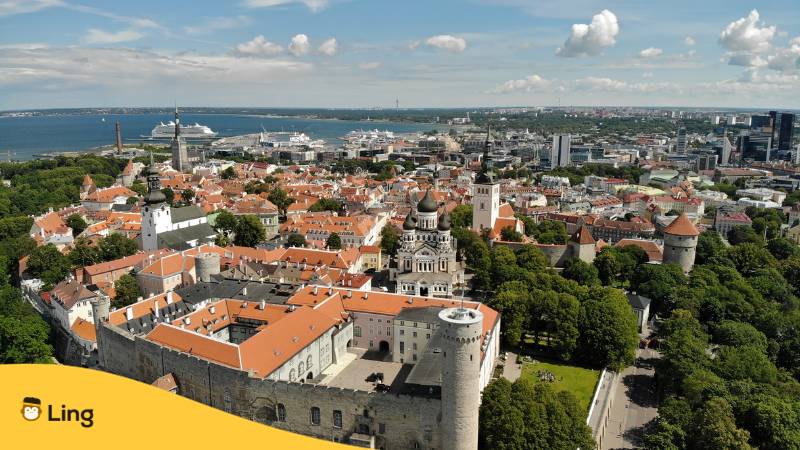 Lerne Estnisch für deine nächsten Reisen in Estland mit der Ling-App