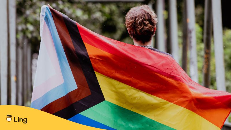 Thai Words For LGBTQ Ling App flag
