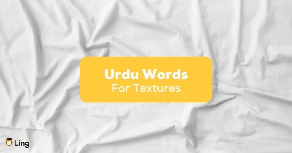 Urdu Words For Textures- Featured Ling App